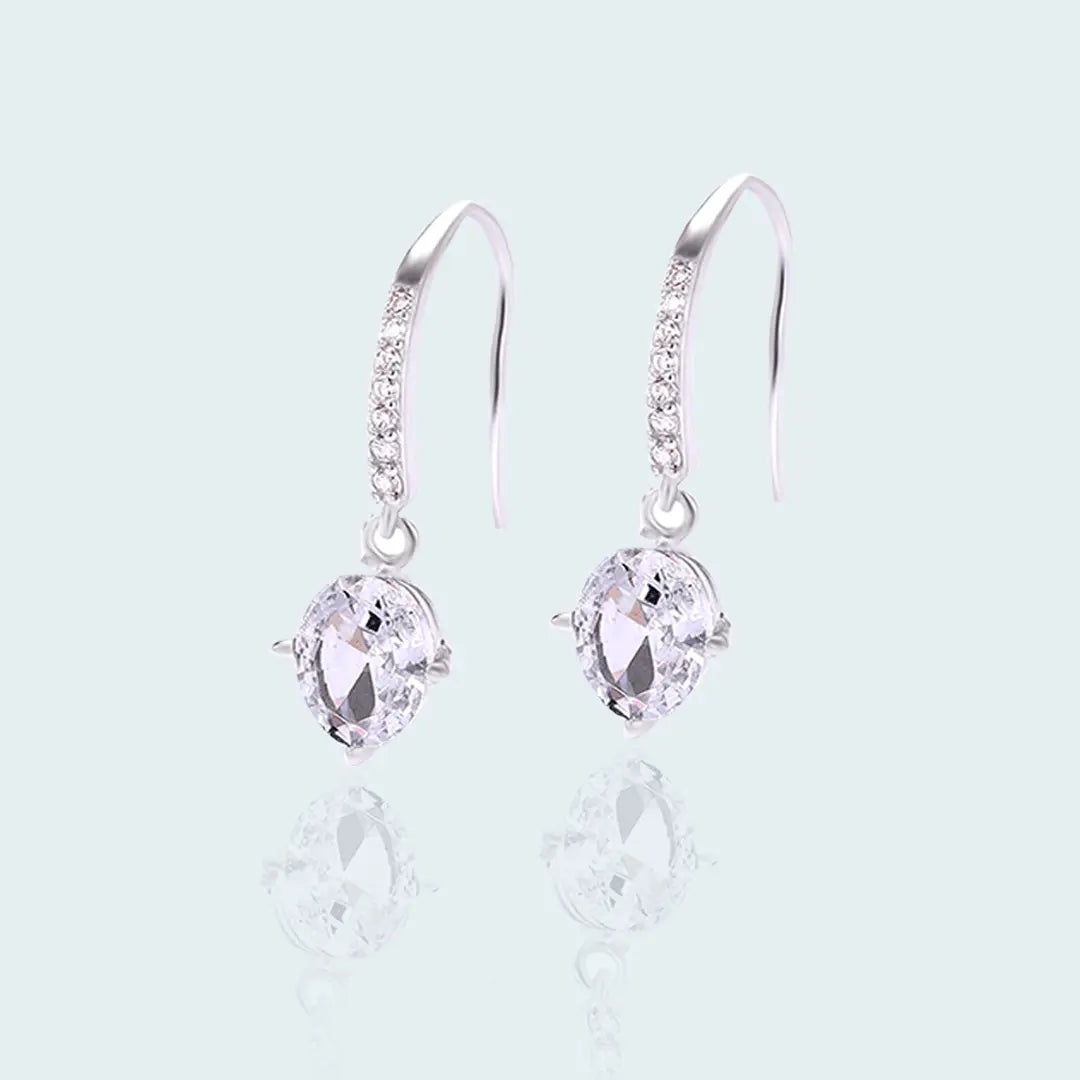 Silver Fish Hook Earring